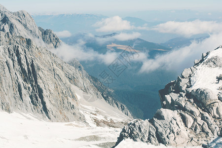 高海拔雪菊云南丽江玉龙雪山背景