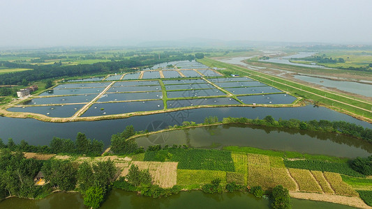 水产画册湖南养虾基地背景