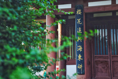 西安青龙寺春季风景背景