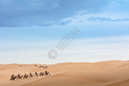 宁夏沙坡头沙漠驼队高清图片