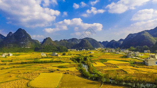 秋天乡村贵州独山下司田园风光背景