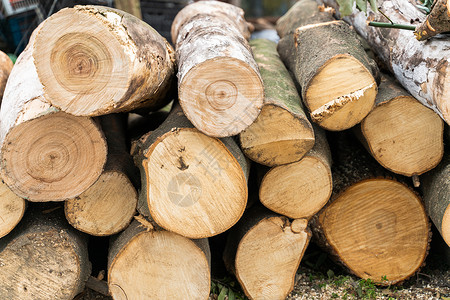 原木料年轮刨木材高清图片
