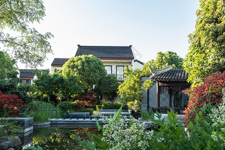 别墅中式中式住宅小区绿化景观背景