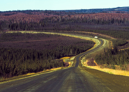 北美森林美国阿拉斯加道尔顿公路背景