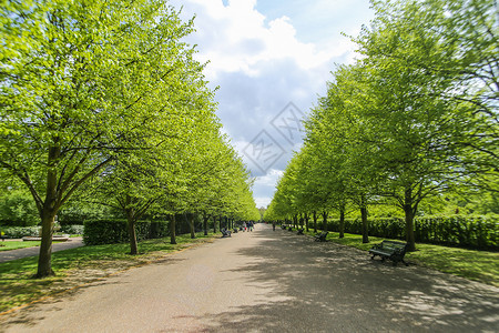英国伦敦摄政公园春天背景图片