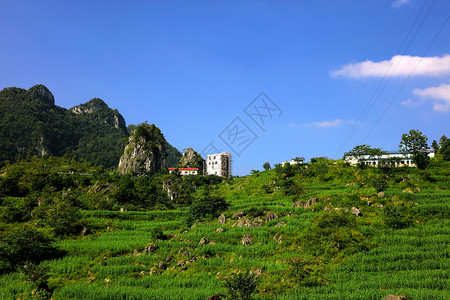 米诺地尔苡仁米地背景