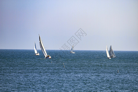 美国圣塔芭芭拉海上帆船高清图片