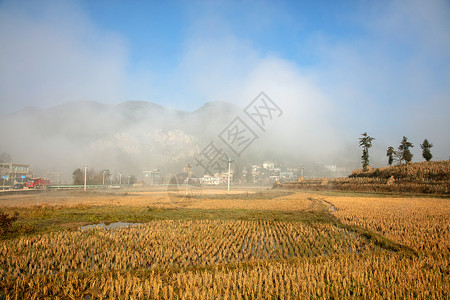 田园曲晨雾土地高清图片