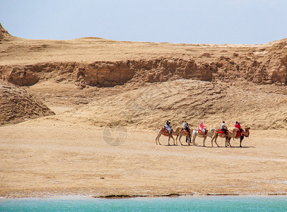 水上雅丹沙漠骆驼队背景图片
