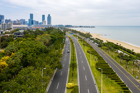 道路景观绿化厦门会展环岛公路背景