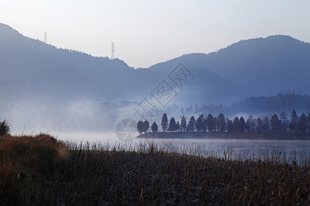 初春背景图片