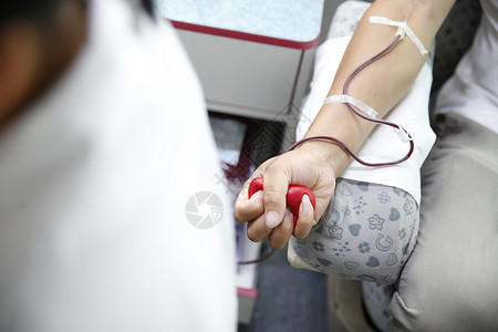 献血抽血过程高清图片