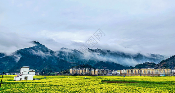 贵州铜仁瓦屋油菜花春分高清图片素材