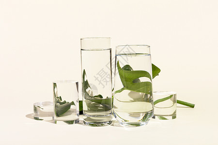 龟背叶绿植艺术玻璃水杯高清图片