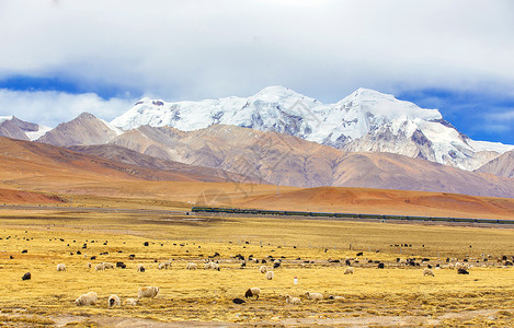 青藏公路背景图片