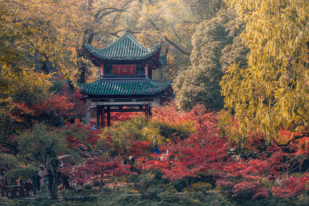 晚巴洛克式长沙岳麓山爱晚亭秋景背景