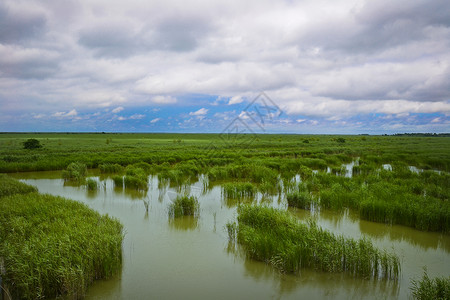 城市行动盐城大洋湾湿地风景区背景