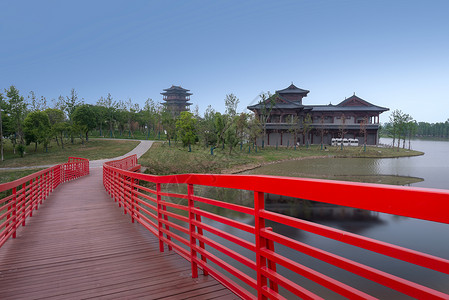 盐城大洋湾湿地风景区高清图片