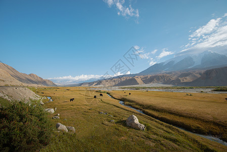 新疆高山草原牧场自然风光图片