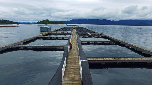 千岛湖鱼子酱养殖基地高清图片