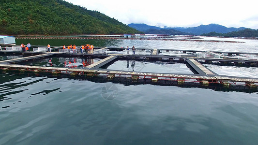 鸟瞰水千岛湖鱼子酱养殖基地背景