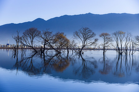 鹤庆黄龙潭的早晨背景