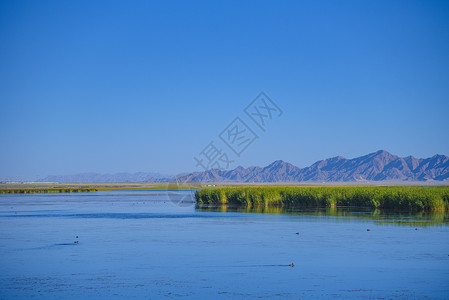 省钱大行动青海高原湿地风景背景