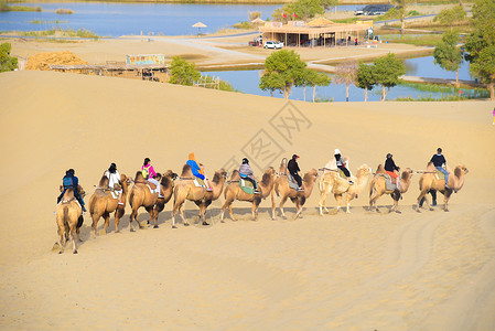 人与骆驼新疆罗布人村寨背景