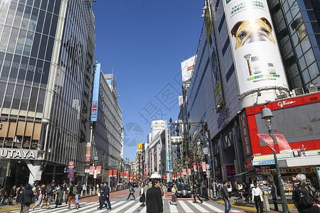 繁华的东京涉谷商业街街景背景图片
