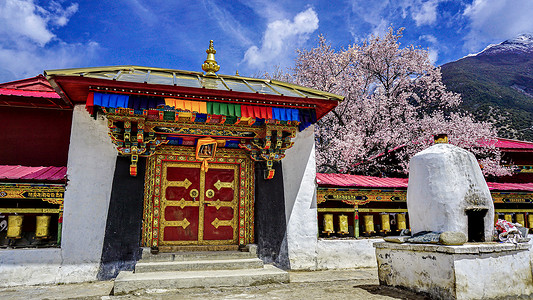 粉红色调背景图西藏林芝波密寺庙里的桃花背景