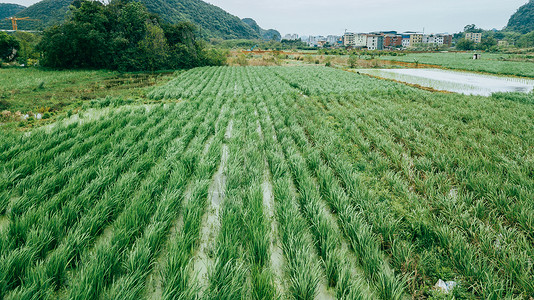 航拍春耕乡间农田郊区风景田园风光背景图片