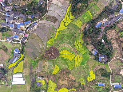 俯拍湖南湘西乡村种植基地高清图片