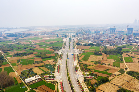 道路边的田地图片