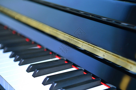 烤漆钢琴黑白键盘图片