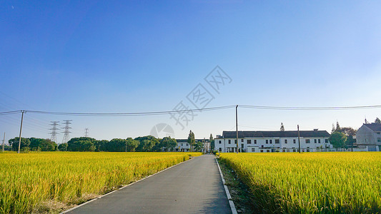 乡村道路电源线上海郊区农田与村庄小路背景