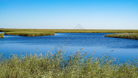 齐齐哈尔扎龙湿地景区国家环境保护背景图片