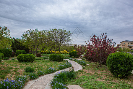 社区花园美景图片