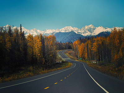 景观路美国阿拉斯加公路背景