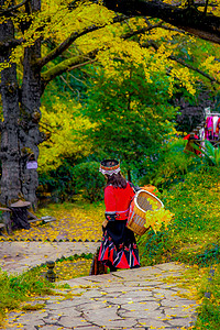 贵州妥乐古银杏村景区少数民族少女背景图片