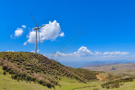 贵州乌蒙大草原自然风光背景