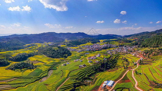 老峨山云南玉溪峨山油菜花田航拍背景