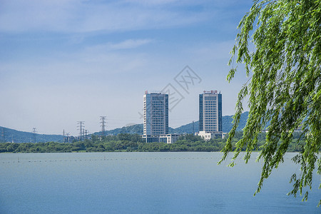 荷叶柳叶边框无锡太湖景区背景