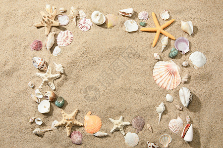沙滩贝壳背景图片