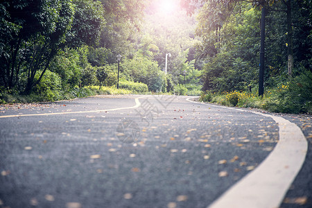 道路树林山里希望的大道背景