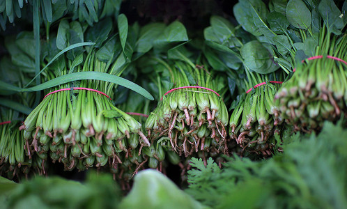 农贸市场新鲜菠菜背景图片
