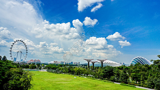 新加坡的人工大树公园高清图片