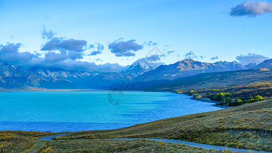 西兰卡普素材新西兰普卡基湖清晨背景