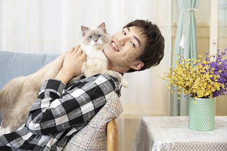 猫与人情谊与猫相伴的青年男性背景