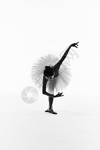 芭蕾动作剪影年轻美女芭蕾舞黑白剪影背景
