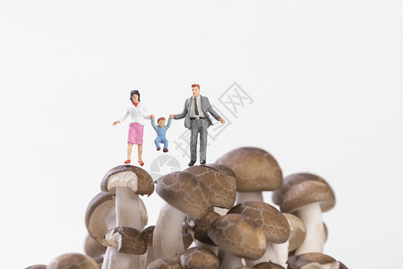 微距蘑菇创意蟹味菇小人背景